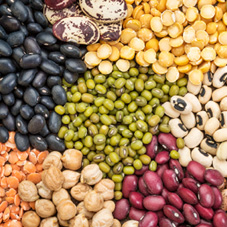 Legumbres